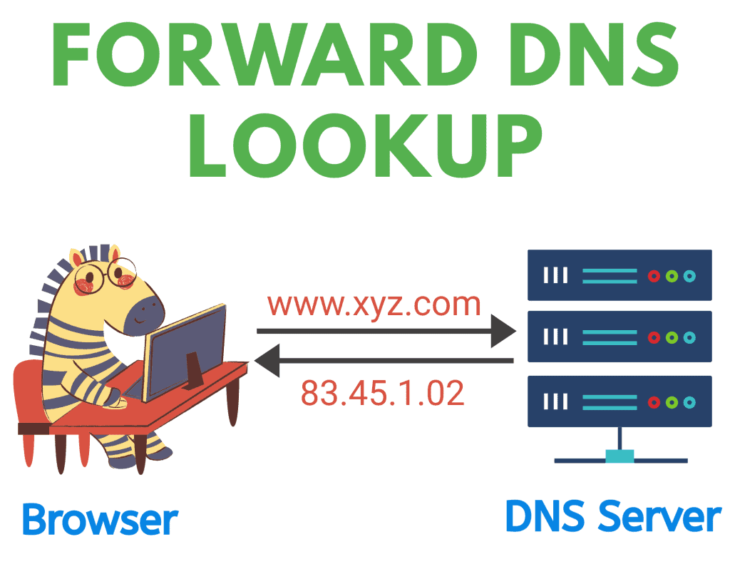 forward DNS lookup