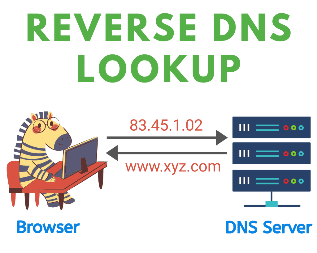 reverse DNS lookup