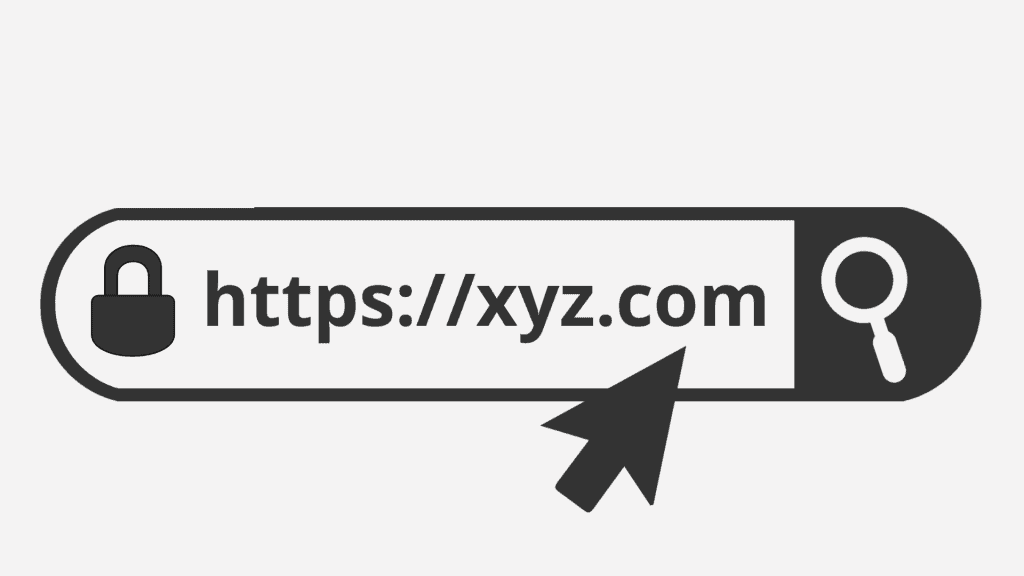 domain name search box