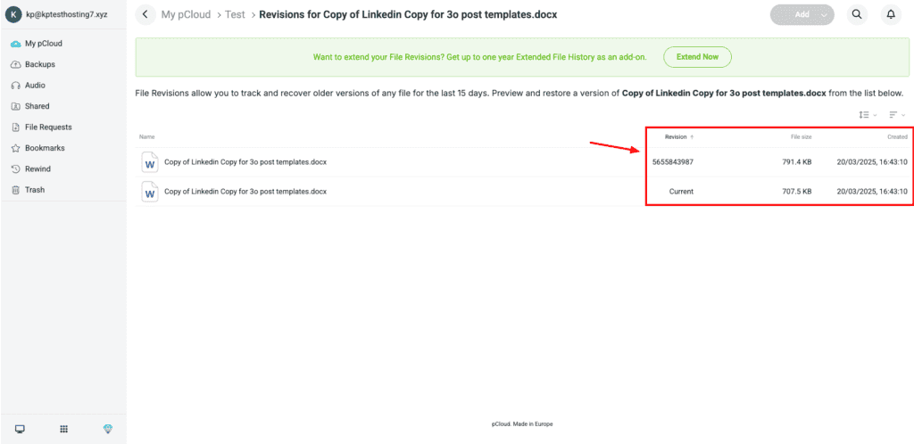 pCloud - File Revisions