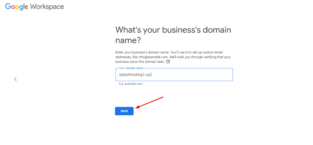 Entering business domain name on Google Workspace