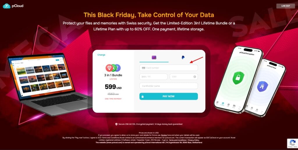 pCloud BF deal - payment methods