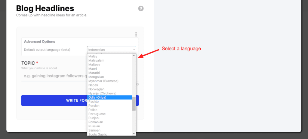 WordHero Languages