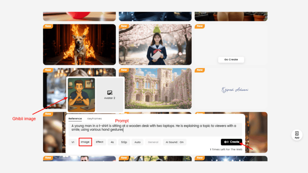 DreamFace Video Interface