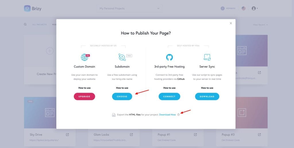 Brizy Cloud - website publishing